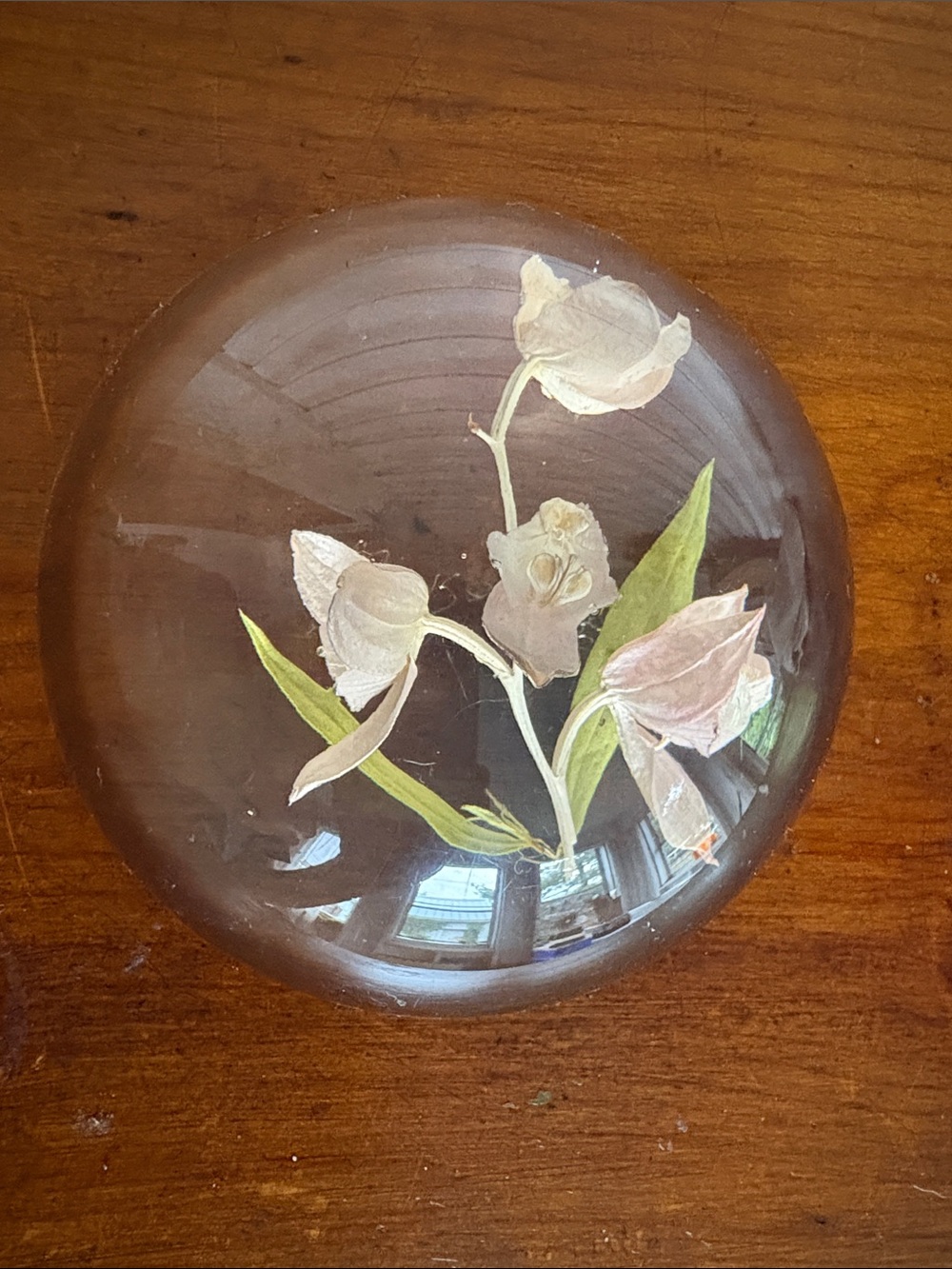 Vintage W. Rolfe MCM Lucite Paperweight